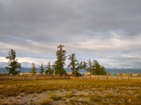 Фотоконкурс Золотая осень на Алтае 2021