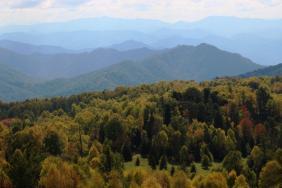 Фотоконкурс Золотая осень на Алтае 2022