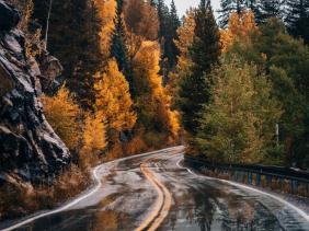 Фотоконкурс Золотая осень на Алтае 2019