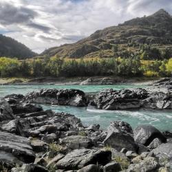 Фотоконкурс Золотая осень на Алтае 2021