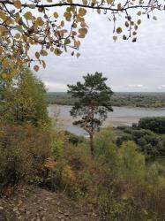г. Барнаул дендрарий им. Лисавенко на берегу р. Обь, автор Вероника Лещенко