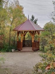 г. Барнаул дендрарий им. Лисавенко на берегу р. Обь, автор Вероника Лещенко