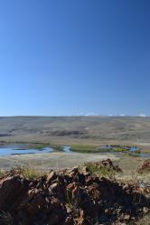 Золотая осень 2023 - Курайская степь, вид на Курайский хребет