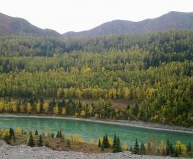 Золотая Осень 2023 - Верхняя Катунь