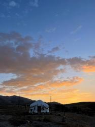 Золотая Осень 2023 - Чуйская степь