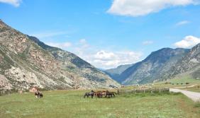 Золотая Осень 2023 - Рядом с Ильгуменским порогом