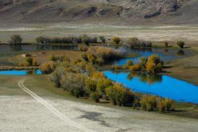 Золотая Осень 2023 - Курайская степь