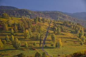 Золотая Осень 2023 - Осень в Чинетинском заказнике