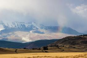 Золотая Осень 2023 - В Курайской степи