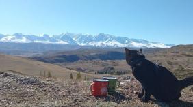 Золотая Осень 2023 - Вид на Северо-Чуйский хребет с Чуйского тракта недалеко от с.Курай