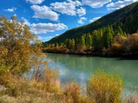 Золотая Осень 2023 - р. Чуя рядом с недостроенной гэс у Акташа