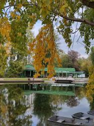 Золотая осень 2023 - Парк Изумрудный, г. Барнаул