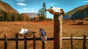 Золотая осень 2023 - Недалеко от большого Уларского водопада