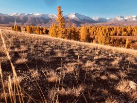 Золотая осень 2023 - Чуйский тракт