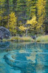 Золотая осень 2023 - Гейзеровое озеро