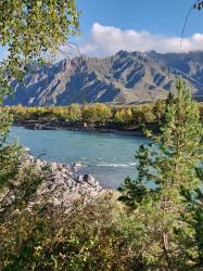 Золотая осень 2023 - Над Катунью, напротив с. Куюс