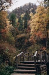 Золотая осень 2023 - В окрестностях Телецкого озера