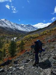 Золотая осень 2023 - Река Талдура, Кош-Агачинский район 