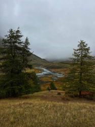 Золотая осень 2023 - Река Талдура, Кош-Агачинский район 