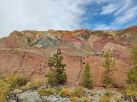 Золотая осень 2023 - Марс-2