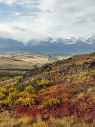 Золотая осень 2023 - Рядом с перевалом Ачик