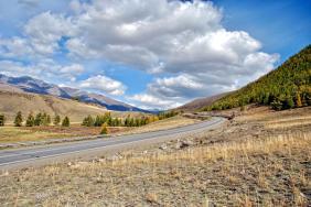 Фотоконкурс Золотая осень на Алтае 2021