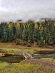 Фотоконкурс Золототая осень на Алтае 2019