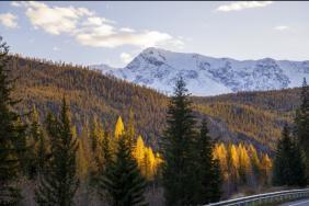 Фотоконкурс Золотая осень на Алтае 2020. Чуйский тракт. Дата: 03.10.2020