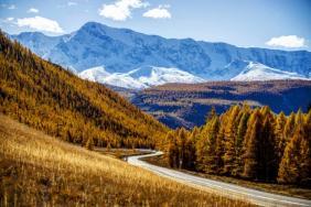 Фотоконкурс Золотая осень на Алтае 2020.Чуйский тракт. Дата: 03.10.2020