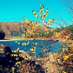 Фотоконкурс Золотая осень на Алтае 2021