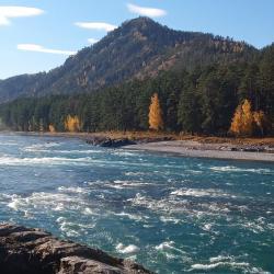 Фотоконкурс Золотая осень на Алтае 2021