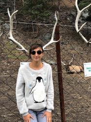 Вот так приехай на Алтай.   с. Узнезя, Лохматая ферма.