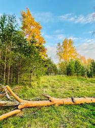 Алтай Золотая осень на празднике Повалиха