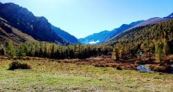 Привал по дороге на озеро : Горный Алтай