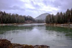 Туры на Алтай : Река Бия 6 ноября 2017