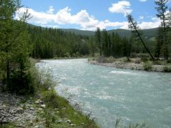 Река возле слияния с Аргутом