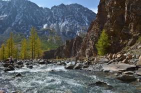 Фотоконкурс Золототая осень на Алтае 2018. Река Джело у своего устья (впадает в Талдуру), Кош-Агачский район