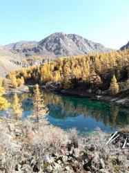 Фотоконкурс Золототая осень на Алтае 201