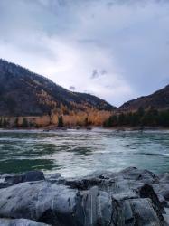 Фотоконкурс Золотая осень на Алтае 2020.Катунь в Чемальском районе. Дата:05.10.2020