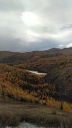 Фотоконкурс Золотая осень на Алтае 2020. На пути к перевалу Кату-Ярык, Улаганский район. Дата: 26.09.2020