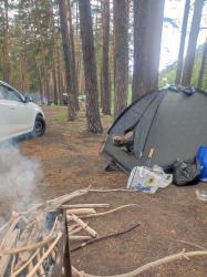 «Кто турист? я турист? не, я просто шашлык люблю!» фото сделано поселок Манжерок на берегу катуни 11.05.2025г