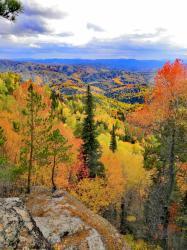 Фотоконкурс Золотая осень на Алтае 2020. Белокуриха-2. Вид с горы Сухая грива, достопримечательность Огородчики. Дата:19.09.20