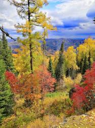 Фотоконкурс Золотая осень на Алтае 2020. Белокуриха-2. Вид с горы Сухая грива, достопримечательность Огородчики. Дата:19.09.20