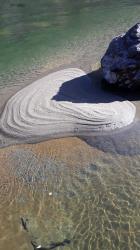 Фотоконкурс Золотая осень на Алтае 2019