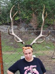   Смехотурики 2020 Автор фото: Семенова Татьяна  Место фото:зоопарк Лохматая ферма Дата: 2019-07-22