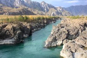 Фотоконкурс Золототая осень на Алтае 2019