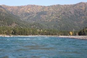 Фотоконкурс Золототая осень на Алтае 2019