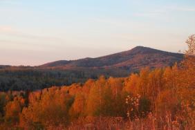 Фотоконкурс Золотая осень на Алтае 2019