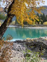 Фотоконкурс Золотая осень на Алтае 2022