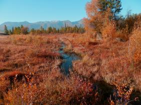 Фотоконкурс Золототая осень на Алтае 2018. 